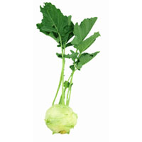 Chou-pomme (Colrave) Chou-pomme (Colrave)