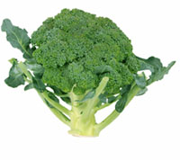 Brocoli