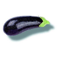 Aubergine