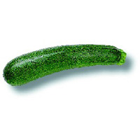 Courgette