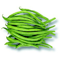 Haricot vert