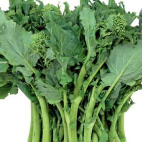 Cima di rapa