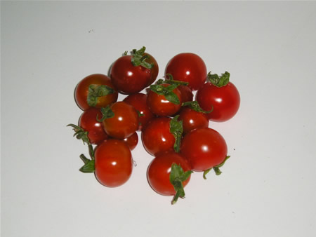 Tomate cherry