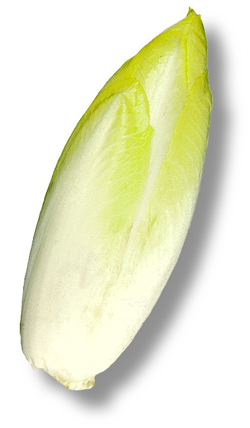Endives 'Swiss&Diva' au citron Endives 'Swiss&Diva' au citron
