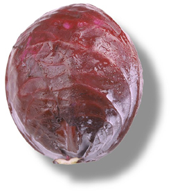 Chou rouge, Fondant de chou rouge Chou rouge, Fondant de chou rouge